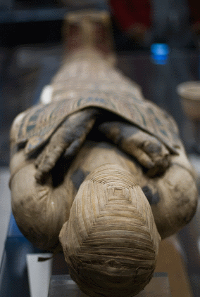 Egyptian Mummy